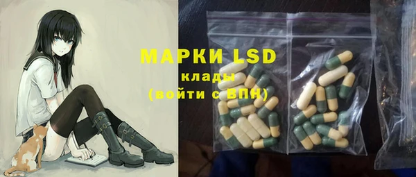 apvp Няндома