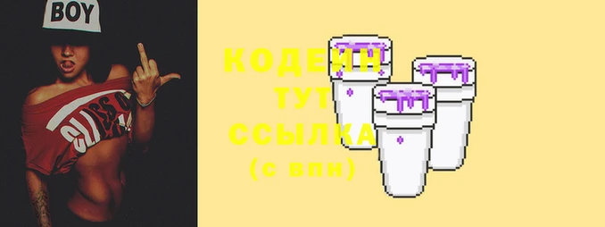 apvp Няндома