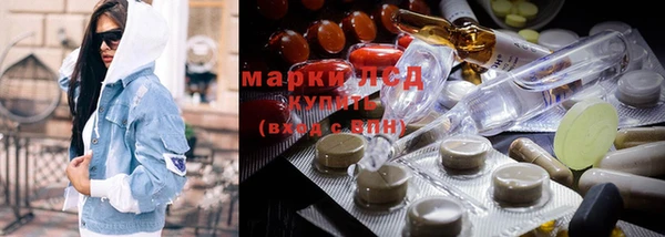 apvp Няндома