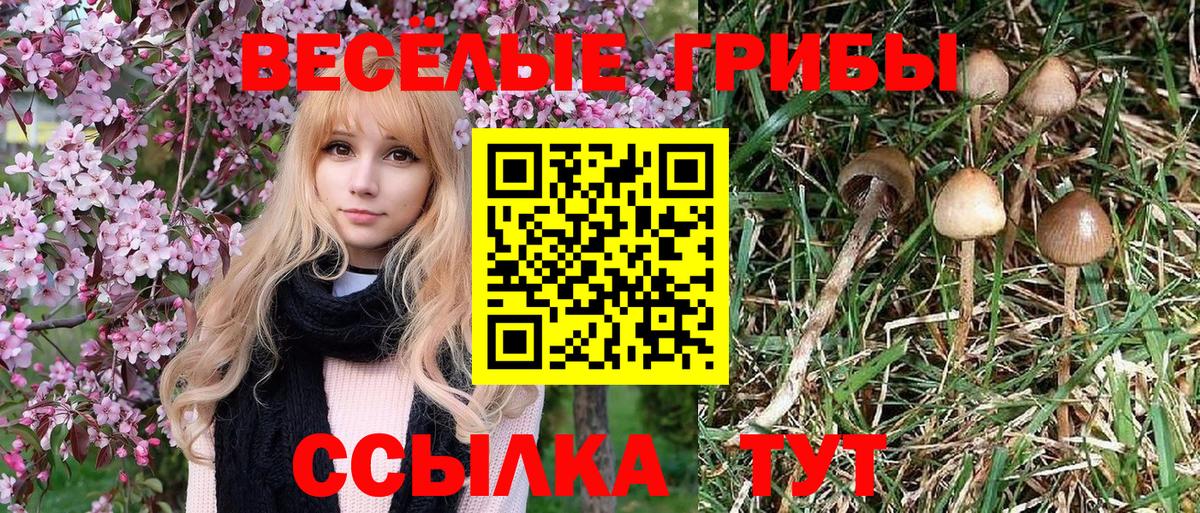 Апшеронск  Галлюциногенные грибы Magic Shrooms  Вход с VPN 